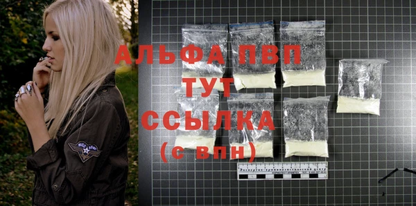 ешки Абаза
