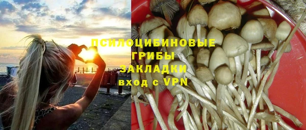 ешки Абаза