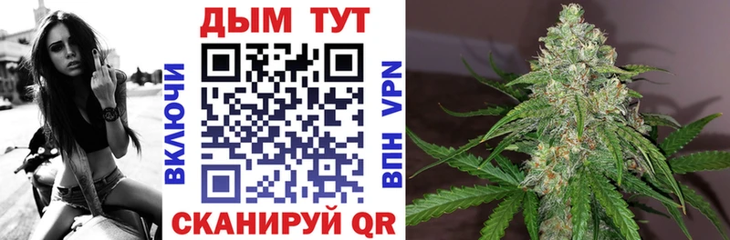 Канабис конопля  купить наркотики сайты  Новопавловск 